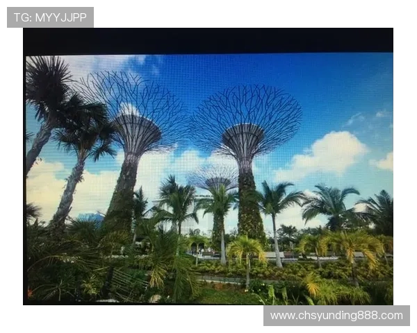 云顶集团官网登录入口马来西亚常见问题解答及安全保障措施全面解读